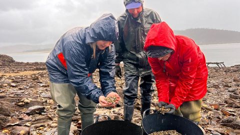 La diputada provincial de Mar y dos mariscadoras, durante la siembra