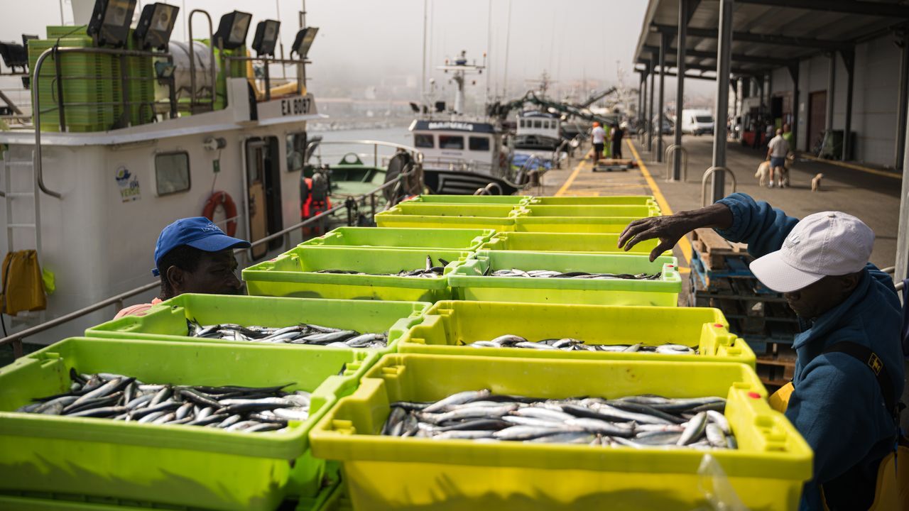 La pesca fresca sigue a flote en Galicia pese a la imparable caída de capturas