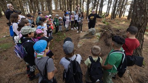 Imagen de archivo de niños de Laxe participando en un proyecto de plantación de especies autóctonas en el bosque de A Insua