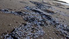 P�lets del buque Tocomao en la playa de Queiruga, en enero del 2024