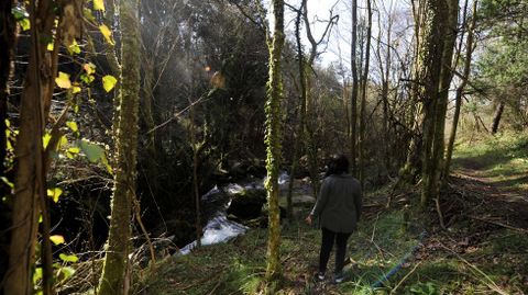 Las Fragas del Eume, un enclave natural nico