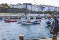 Doce tarrafas de Malpica est�n actualmente sin actividad. 