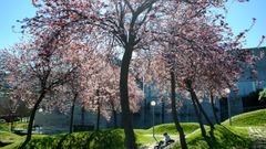 Campus de Elvi�a, a principios de marzo.