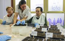 El taller, celebrado ayer en Afal, forma parte del programa �Natura: est�mulos vivos�. 