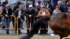 Las im�genes de la Feira do 23 de Abril en Moeche