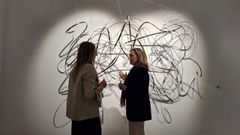 La sede de la Diputaci�n en Vigo acoge la muestra