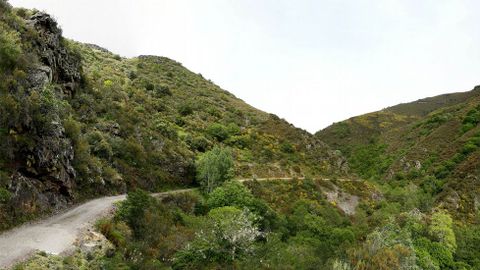 Un tramo del cmaino en las cercanas de la aldea de Casa do Vello