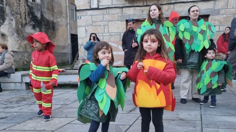 Desfile de entroido en A Pobra de Trives.