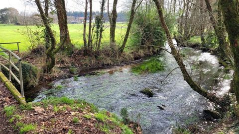 Cauce fluvial en la zona de O Franco