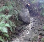 Las alcantarillas desbordan frente a Lennon y detr�s de Cristo Rey y en Figueroa hay vertido del bombeo.