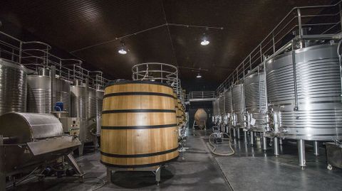 Interior de la bodega Regina Viarum, una de las que venden de forma directa por Internet