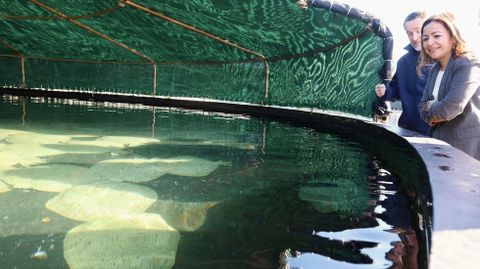 La conselleira do Mar, durante su visita a las instalaciones de Lira