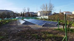 Los paneles est�n en la antigua huerta de los Escolapios, entre las cepas de una vi�a