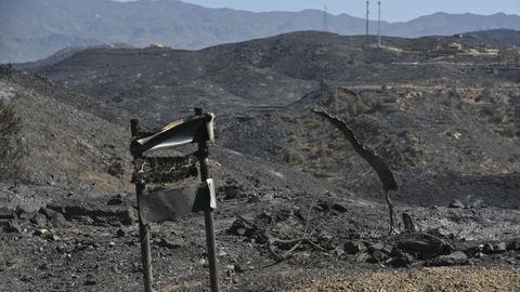 Vista de los efectos del incendio este lunes, en B�dar.