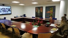 La alcaldesa de Nar�n, en la reuni�n telem�tica con el vicepresidente de la Xunta y otros regidores