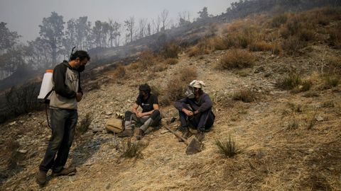 Varios voluntarios colaboran en la extinción de un incendio en Palacios de Compludo, León.