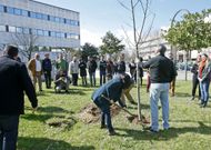 Los directores de los cinco centros forestales colaboraron en la plantaci�n del casta�o. 