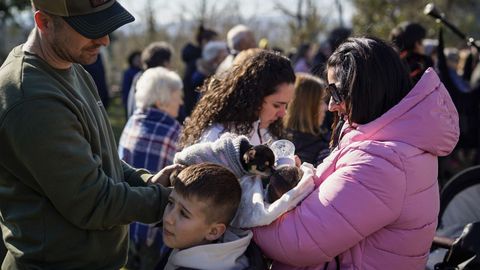 Los perros fueron los protagonistas de la ma�ana de la romer�a