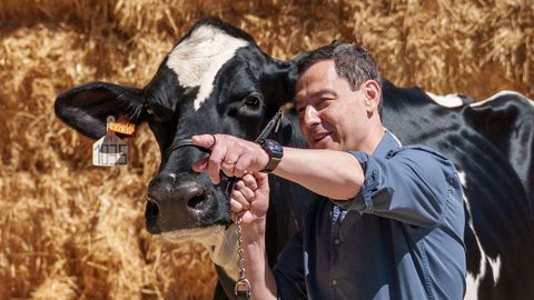 El presidente de Andaluc�a, Juanma Moreno Bonilla, con una vaca durante la campa�a electoral.