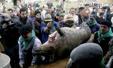 Este a�o, a diferencia de otras ediciones, la matanza tendr� lugar al aire libre en una carpa.