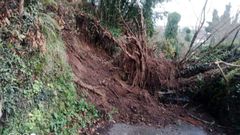 Desprendimiento de tierra y dos �rboles de grandes dimensiones en el acceso de la iglesia de Santiago de Franza, en Mugardos, el s�bado
