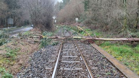 Un �rbol ca�do sobre la v�a del tren oblig� a suspender el tr�fico ferroviario en Ortigueira.