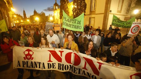 Manifestacin en Lugo contra la planta de Coeses