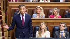 El presidente del Gobierno, Pedro S�nchez, interviene durante una sesi�n de control al Gobierno, en el Congreso de los Diputados el 20 de mayo del 2026
