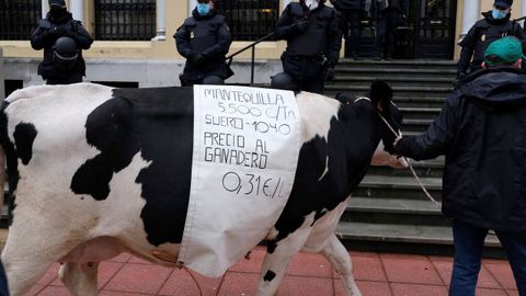 Manifestaci�n de Asturias Ganadera en Oviedo