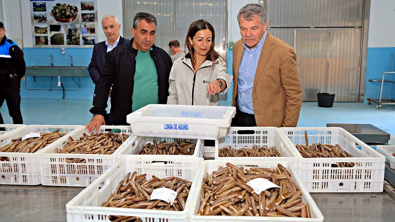 Consellería do Mar, Portos y cofradía de Aguiño unen esfuerzos en la articulación de mejoras para el sector
