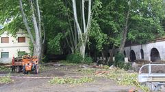 La construcci�n de la rotonda comenz� el pasado mes de septiembre