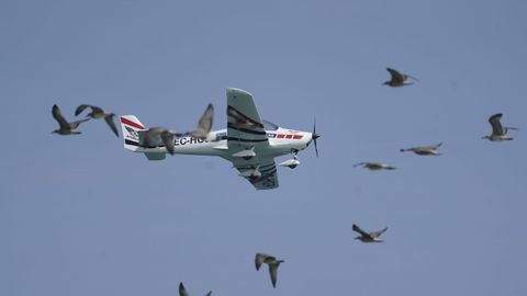 Miles de personas han seguido desde la playa de San Lorenzo y sus aledaños las exhibiciones y acrobacias de los aviones, helicópteros y paracaidistas que han participado en el XIX Festival Aéreo de Gijón, un evento que se ha iniciado al mediodía con unas condiciones meteorológicas idóneas, con cielo despejado, sol y poco viento.