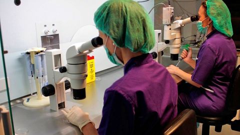 La selecci�n embrionaria ha experimentado notables avances en los �ltimos a�os