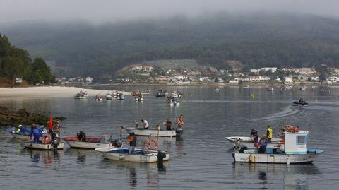 Mariscadores a flote en el banco de Tambo, en una imagen de archivo
