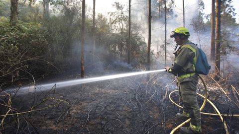 Un brigadista trabaja en las labores de extinción del incendio declarado en Castroverde (Lugo).