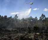 El apoyo del helic�ptero fue clave para frenar las llamas