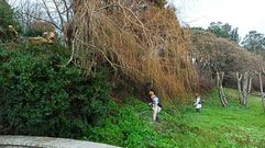 Limpieza efectuada, trabajos manuales con control arqueol�gico 