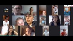 El pleno extraordinario de hoy ser� telem�tico