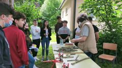 Taller de injertos en el IES San Rosendo