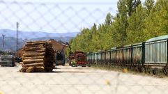 Carga de madera en un tren de mercancas en el puerto seco de Monforte