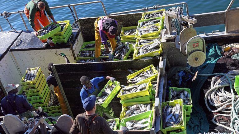 Descarga de pescado en la lonja de Ribeira, cuya empresa gestora figura entre las diez primeras en facturaci&oacute;n