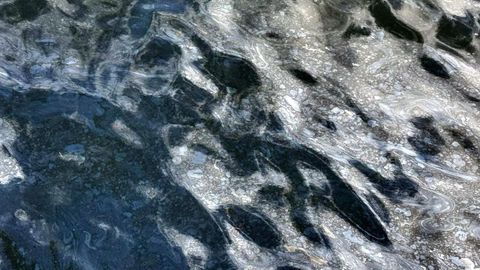 En el agua se aprecian manchas de hidrocarburos.