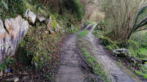 Pista que lleva al pueblo de Sienra.