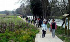 Los Amigos del Camino tomar�n la variante de O Saln�s en su peregrinaci�n a Santiago de Compostela.