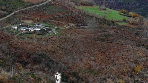 Este es el aspecto que presenta en estos momentos el souto de Vilar, tres a�os y cinco meses despu�s de incendio de julio del 2022