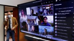 El consejero de Salud, Pablo Fern�ndez, durante el encuentro telem�tico del consejo de gobierno