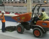 <span lang= es-es >Cr�tica al Puerto</span>. El colectivo Arco Iris denunci� que el Puerto est� tapando los huecos de los �rboles en la zona de Palexco. 