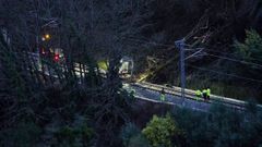 Trabajos de reparaci�n del tramo de v�a que fue afectado por la ca�da del �rbol