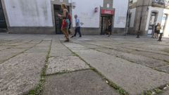 En la plaza de Fuenterrab�a realizaron pruebas con plantas entre las juntas del enlosado