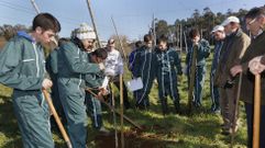 Un taller de poda impartido en su d�a en Fonteboa 